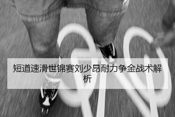 duan-dao-su-hua-shi-jin-sai-liu-shao-ang-nai-li-zheng-jin-zhan-shu-jie-xi-2-497.jpg