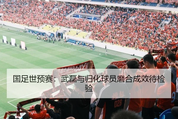国足世预赛：武磊与归化球员磨合成效待检验