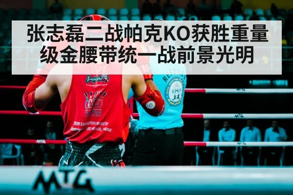 张志磊二战帕克KO获胜重量级金腰带统一战前景光明